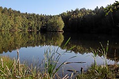 Krebsloch in der Velpker Schweiz (September 2015)