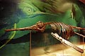 Ichthyosaur (fish saur) in the Geopark-Info-Centre