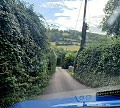 Enge Strae mit hohem Heckenbewuchs